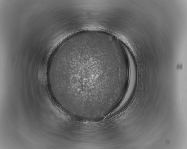 X0000092020531200709061555