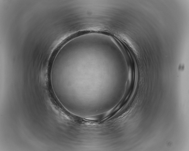 X0000092020532200709061555