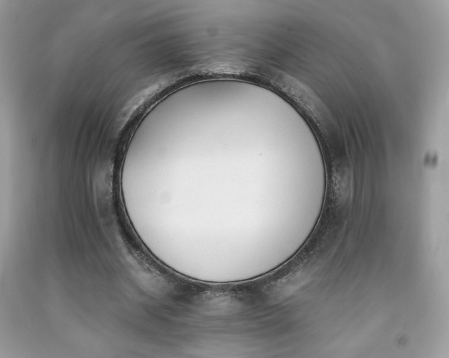 X0000092020534200709061555