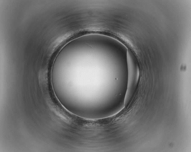 X0000092020535200709061555