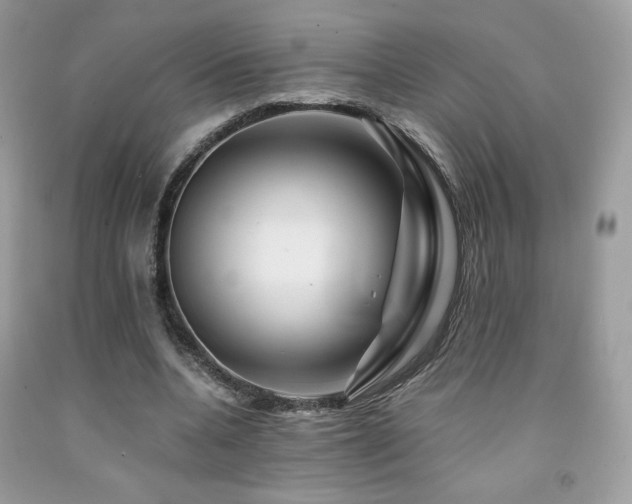 X0000092020536200709061555