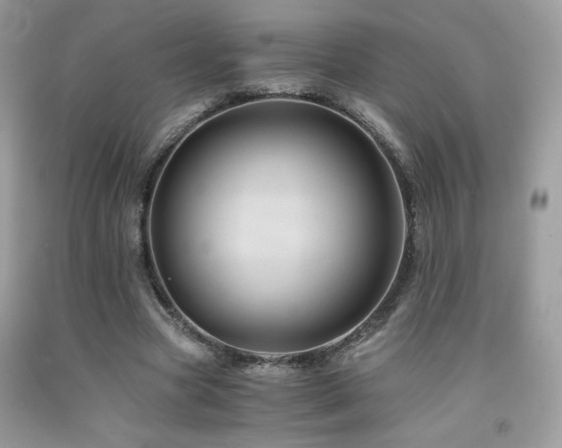 X0000092020537200709061555