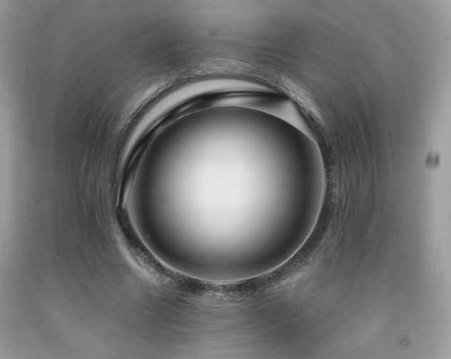 X0000092020538200709061555