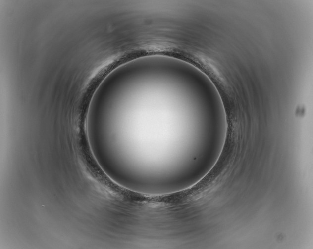 X0000092020539200709061555