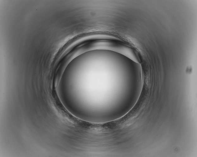 X0000092020540200709061555