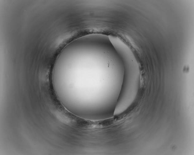 X0000092020543200709061555