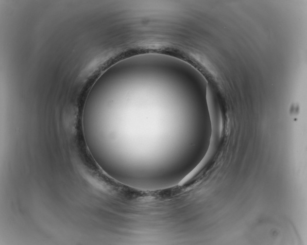 X0000092020544200709061555