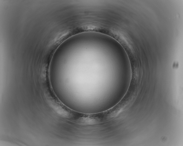 X0000092020545200709061555