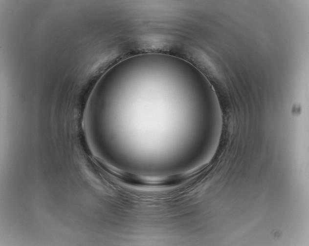 X0000092020546200709061555