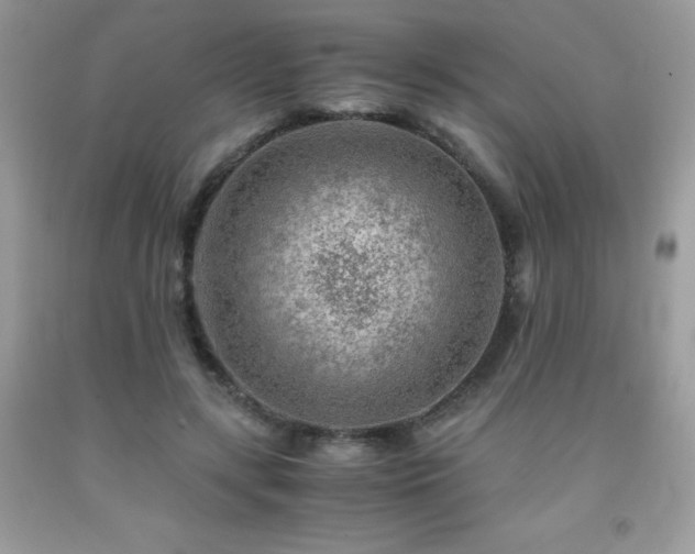 X0000092020547200709061555