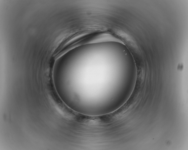 X0000092020548200709061555
