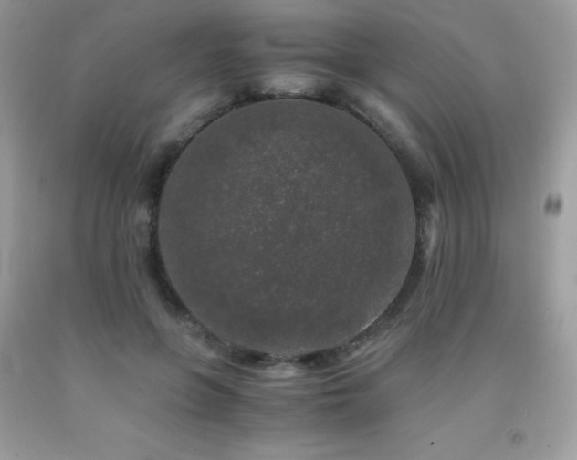 X0000092020551200709061555