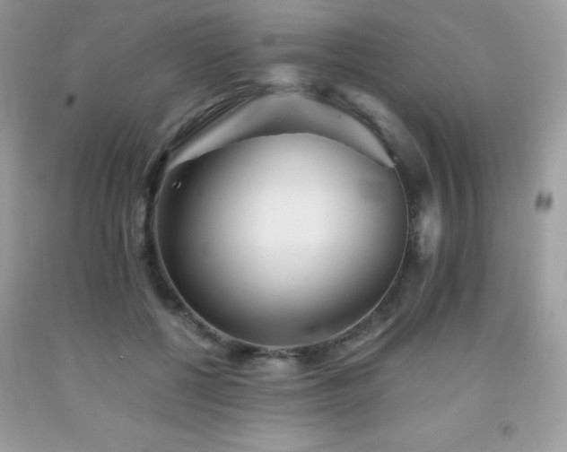 X0000092020552200709061555
