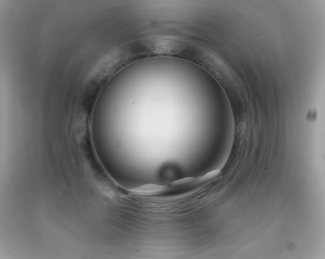 X0000092020554200709061555