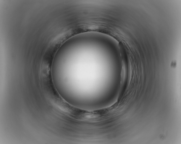 X0000092020555200709061555