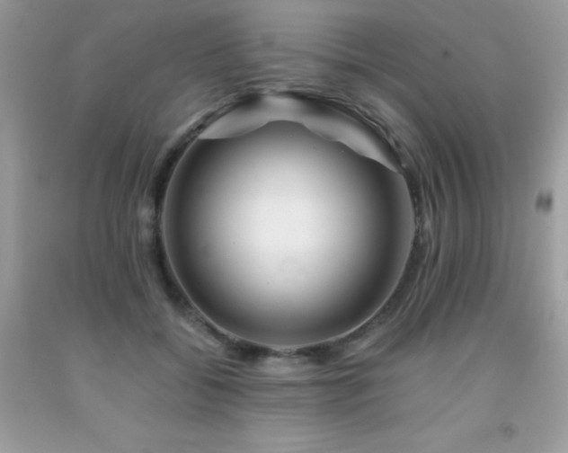 X0000092020556200709061555