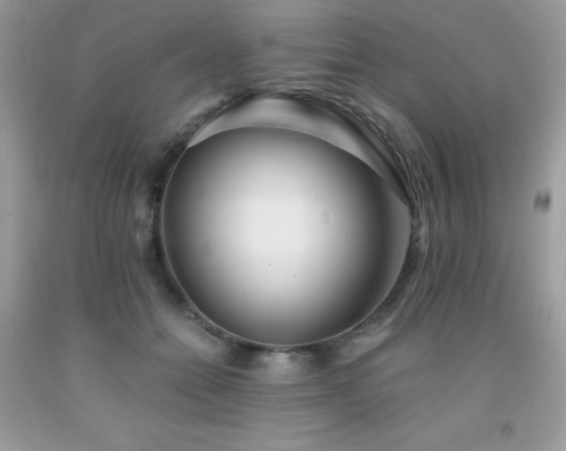 X0000092020558200709061555