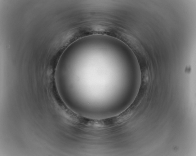 X0000092020559200709061555