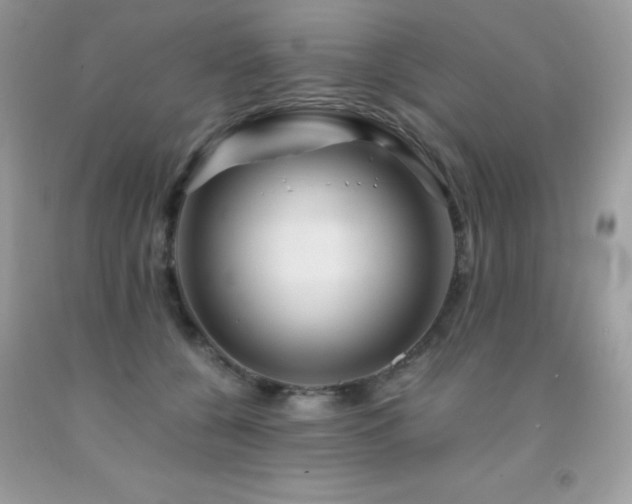 X0000092020560200709061555