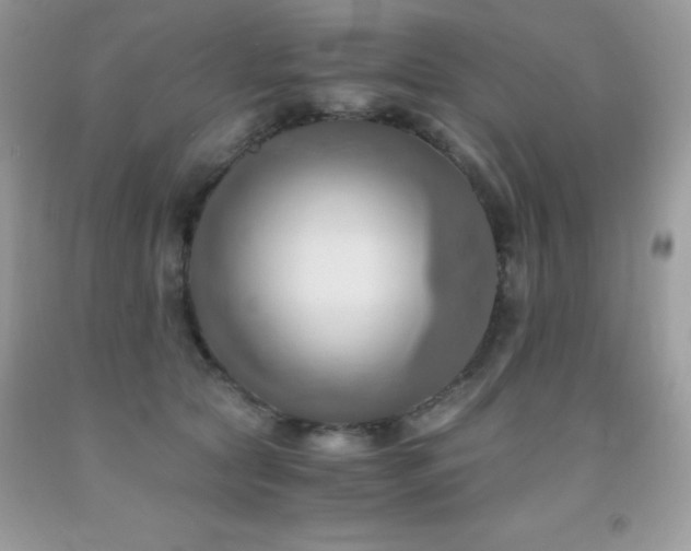 X0000092020561200709061555