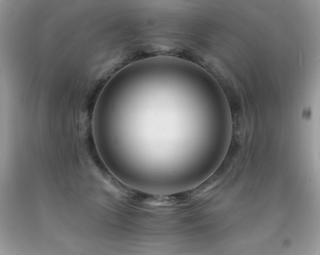 X0000092020563200709061555