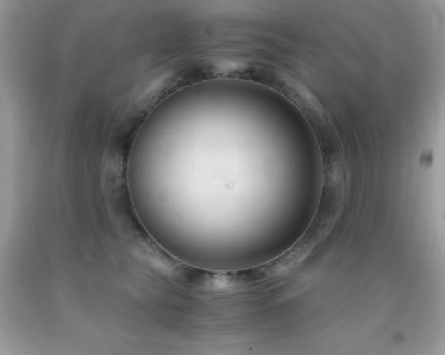 X0000092020565200709061555
