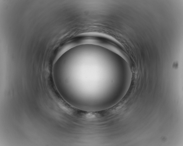 X0000092020566200709061555