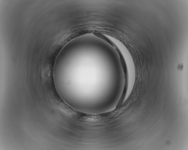 X0000092020567200709061555