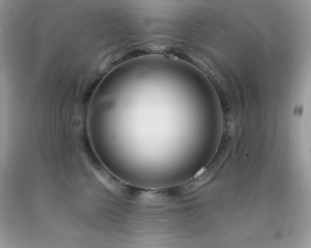 X0000092020568200709061555
