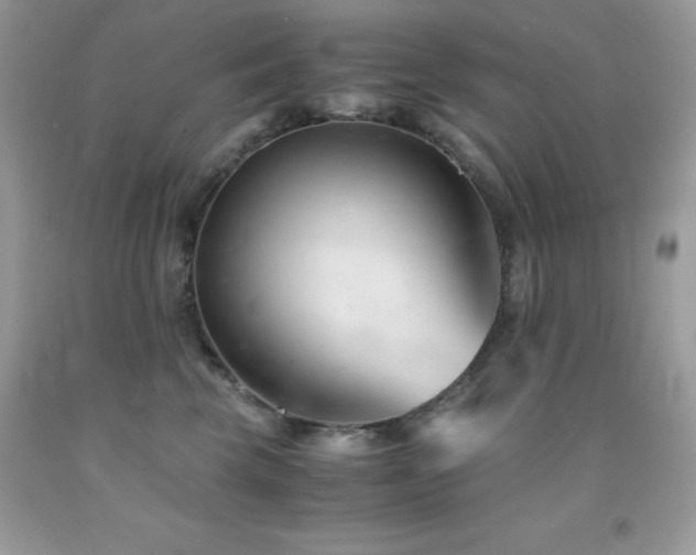 X0000092020569200709061555