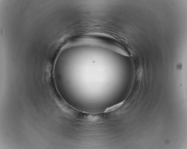 X0000092020570200709061555