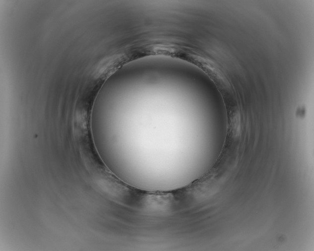 X0000092020571200709061555