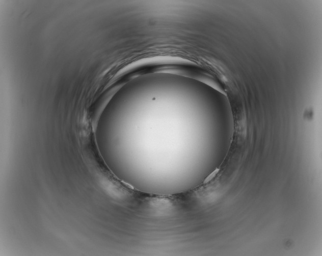 X0000092020572200709061556