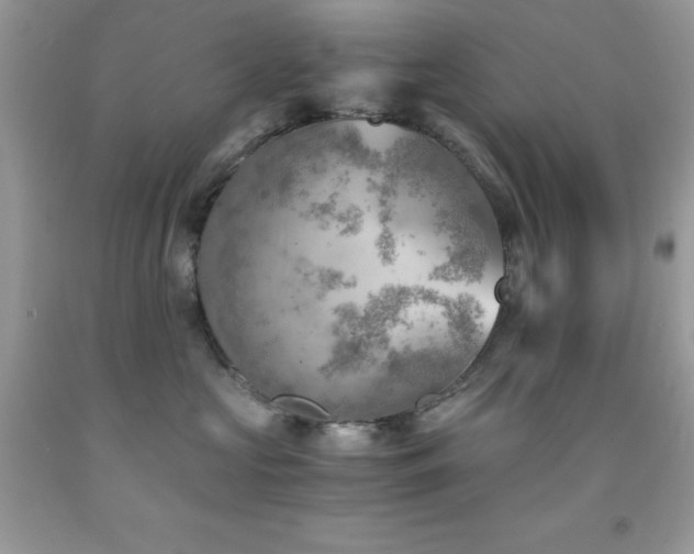 X0000092020573200709061556