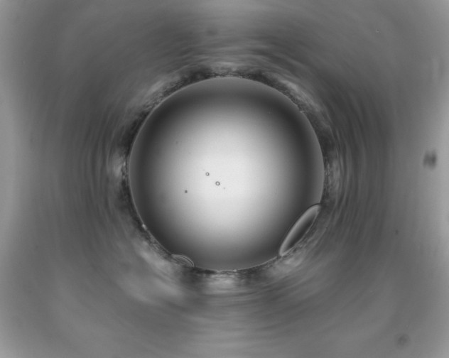 X0000092020574200709061556