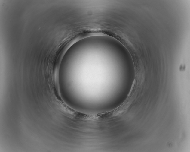 X0000092020576200709061556