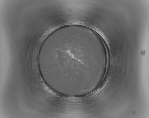 X0000092020577200709061555