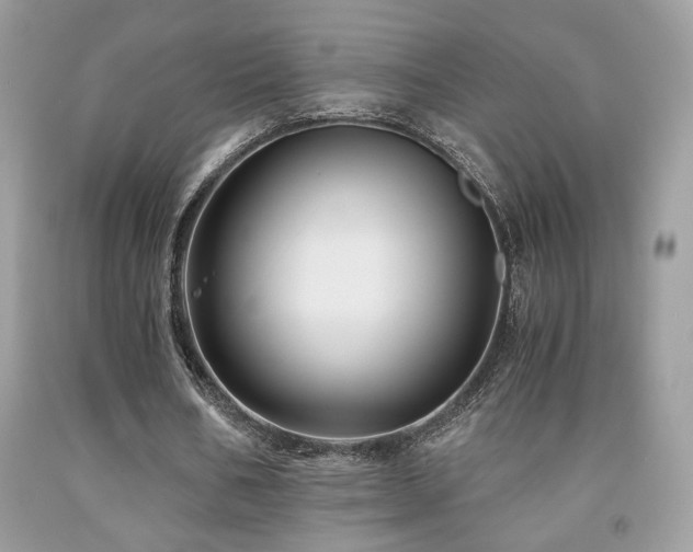 X0000092020578200709061555