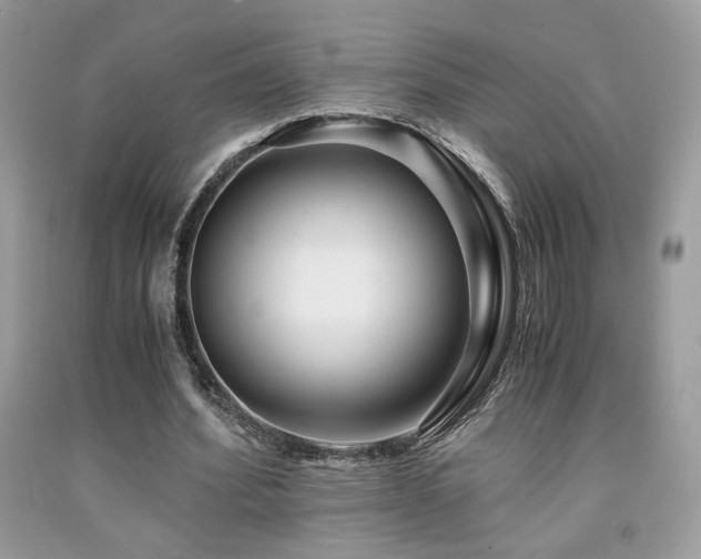 X0000092020580200709061555