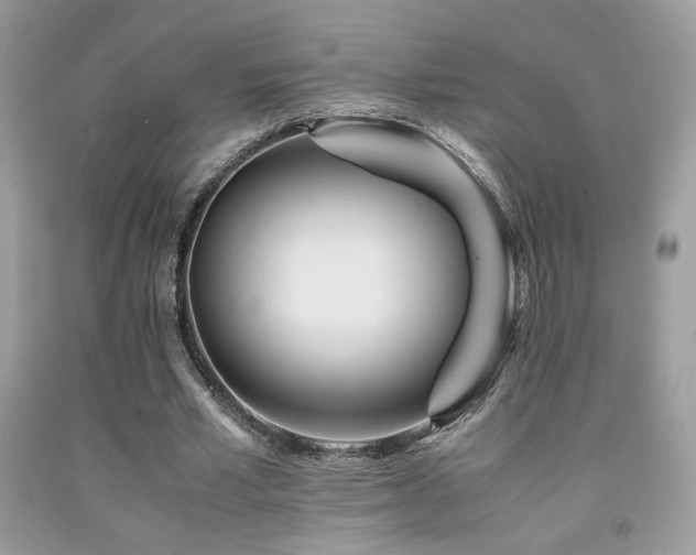 X0000092020581200709061555