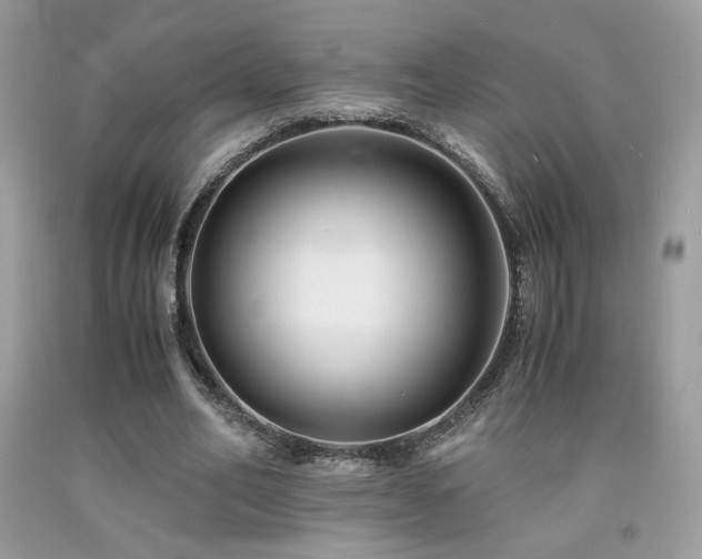 X0000092020582200709061555