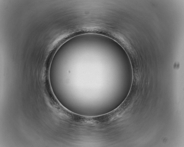 X0000092020583200709061555
