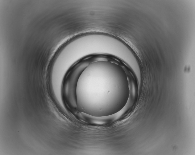 X0000092020584200709061555
