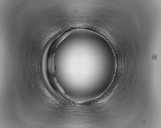 X0000092020585200709061555