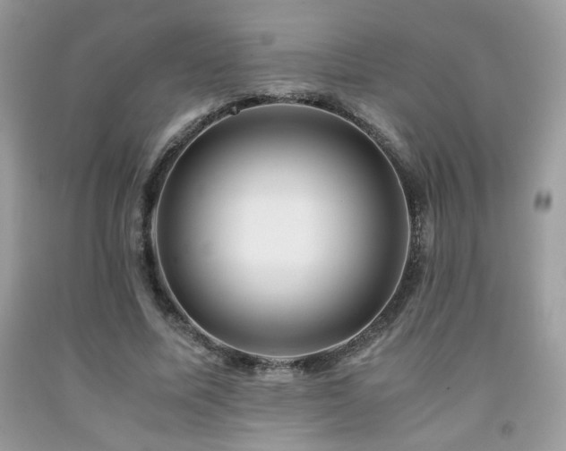 X0000092020587200709061555