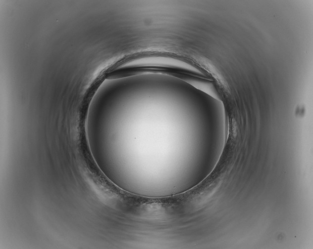 X0000092020588200709061555