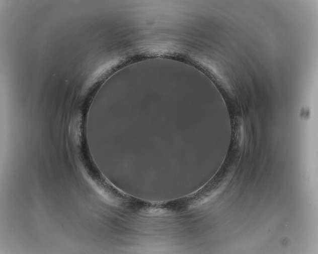 X0000092020590200709061555
