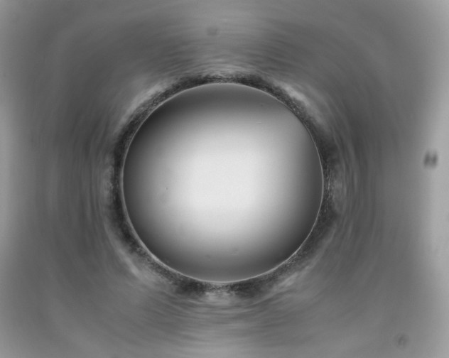 X0000092020591200709061555
