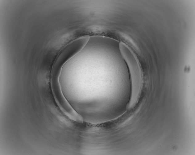 X0000092020593200709061555