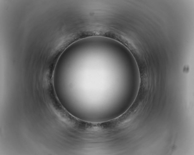 X0000092020594200709061555